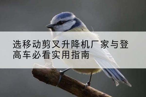 惠安电动升降机厂家-选移动剪叉升降机厂家与登高车必看实用指南