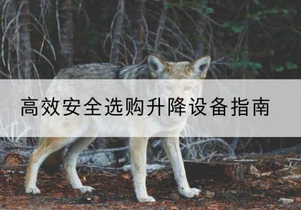 惠安升降货梯厂家推荐-*安全选购升降设备指南