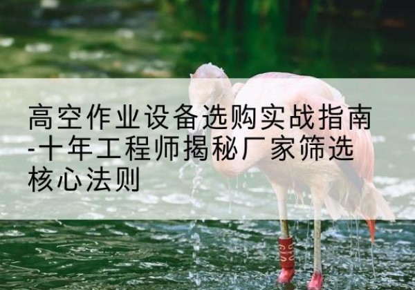 惠安剪叉式升降机厂家-高空作业设备选购实战指南-十年工程师揭秘厂家筛选核心法则